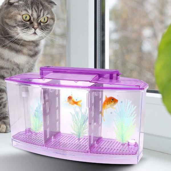 Isolation Acrylic Small Aquarium with 2 Color Lighting