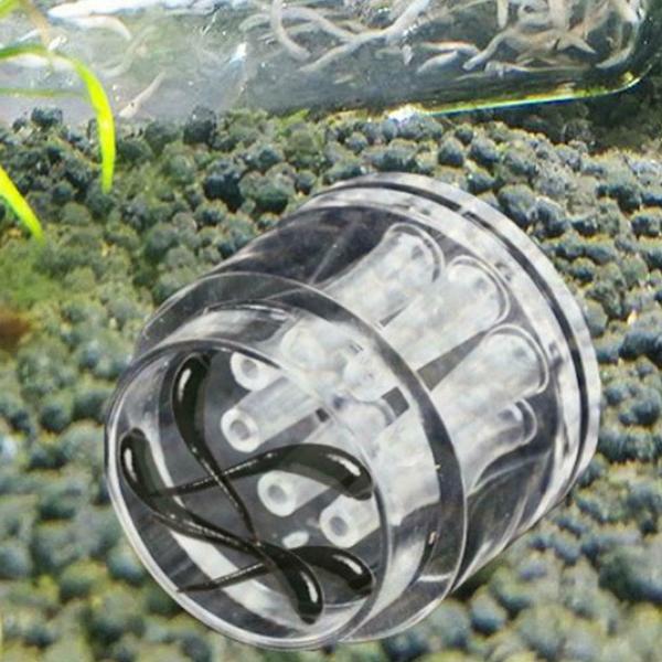 Plastic Trapper For Planarian Worm 8 Holes