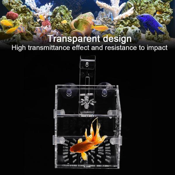 B&K Acrylic Transparent Fish Tank Breeding Isolation Box (2 Sizes)