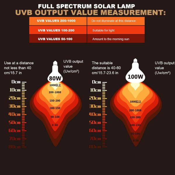 Nomoy Pet Full Spectrum Solar Reptile Heat Lamp UVA & UVB 100W