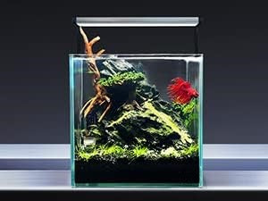 Seiryu Aqua Scaping Stone 1kg
