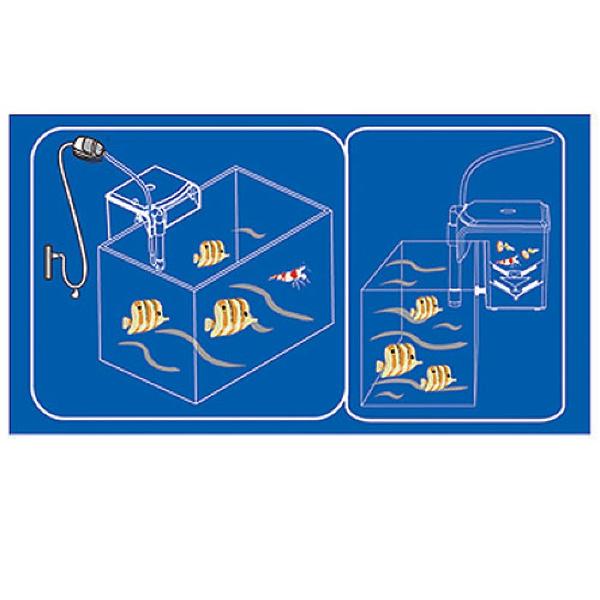 Dophin BB10 Breeding Box Hatchery WITH PUMP 16cmLx14.5cmWx13cmH