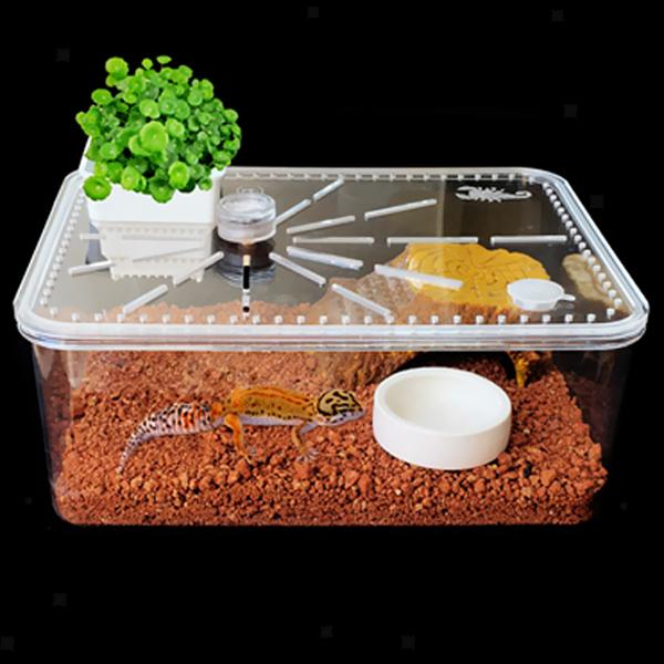 Smooth Ceramic Anti-Escape Worm Dish for Reptile Lizard Feeding Food Water Bowl