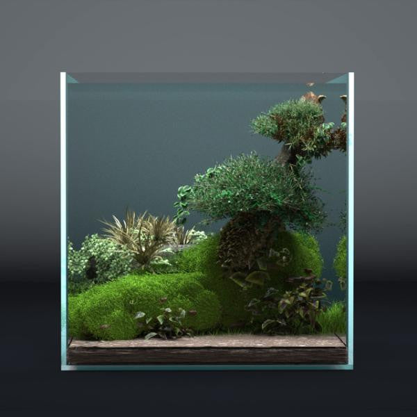 Super Clear Aquarium Cube Glass Tank (20-40cm)