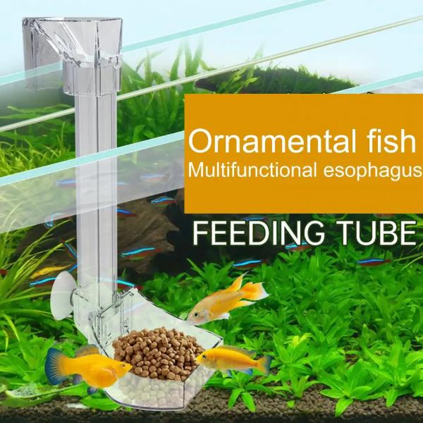 Acrylic Hanging Shrimp Feeding Tube