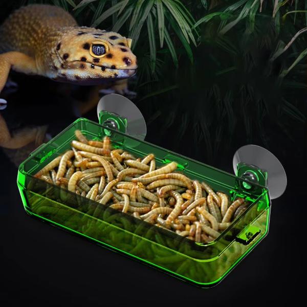 Nomoypet Translucent Plastic Food Water 2 in 1 Reptile Feeding Bowl Mealworm Anti-Escape Feeder for Tortoise Gecko Snakes Chameleon