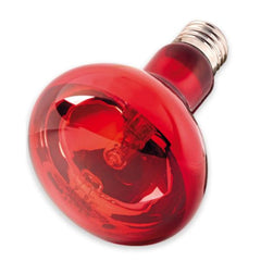 NOMOY PET ND-21 Round Red Infrared UVA Heating Bulb (50W / 100W)