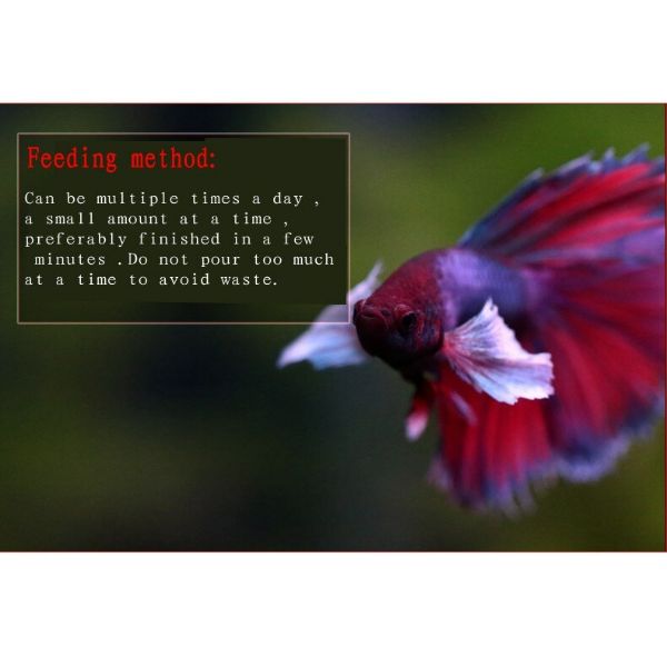 Biozym Betta Food 60g with High Protein and High Nutrition