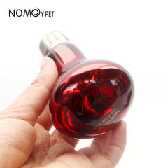 NOMOY PET ND-21 Round Red Infrared UVA Heating Bulb (50W / 100W)