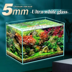 Crystal Clear Low Iron Aquarium 5 in 1 Tank