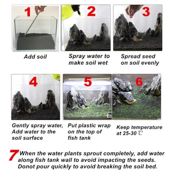 B&K Aquatic Plant Seeds 5 Types x 5000 pcs