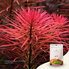 The 2Hr Aquarist APT Start | Starter Bacteria for Planted Aquariums
