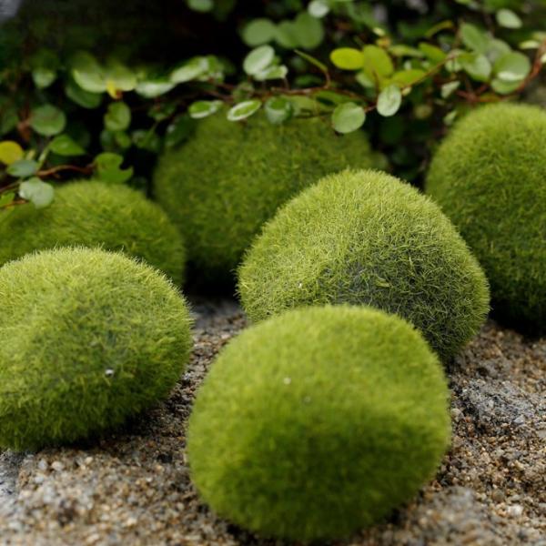 Fake Moss Ball Aquarium Decoration – 4 Sizes