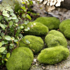 Fake Moss Ball Aquarium Decoration – 4 Sizes