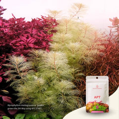 The 2Hr Aquarist APT Start | Starter Bacteria for Planted Aquariums