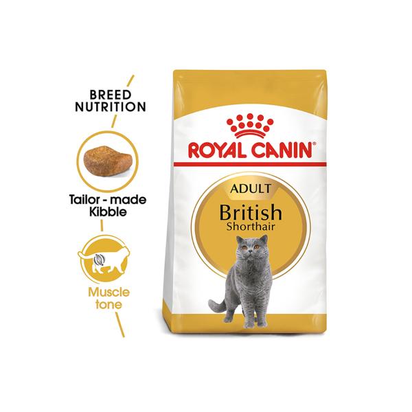Feline Breed British Shorthair Adult Nutrition Cat Dry Food Multicolour 4kg
