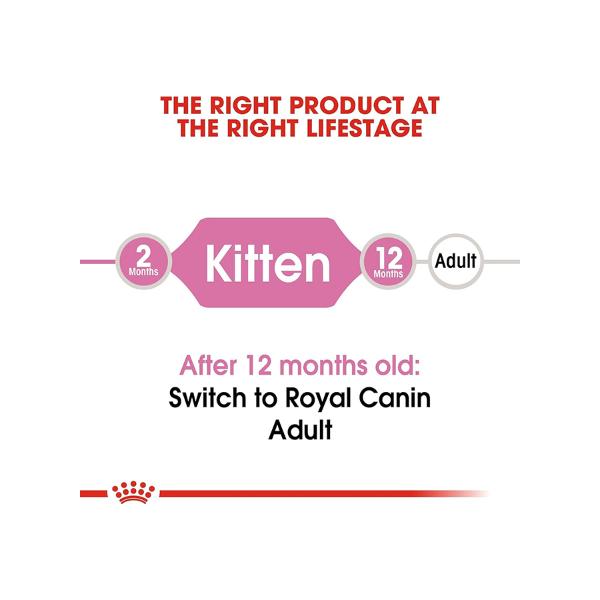 Dry Food For Second Age Kitten 4kg