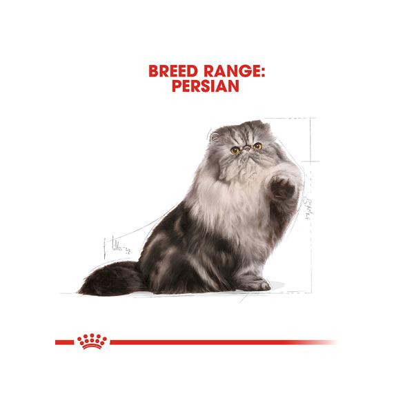 Feline Breed Nutrition Persian Adult Cat Dry Food 4kg