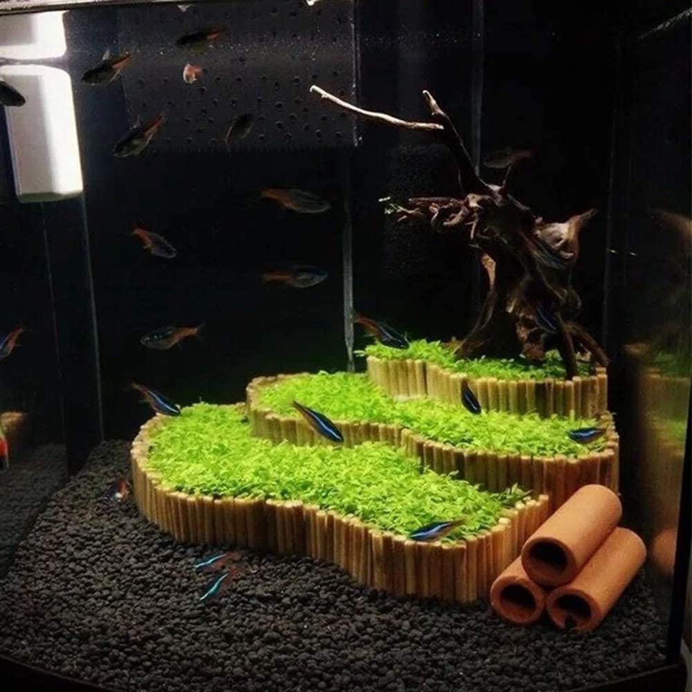 Aquarium Plant Seeds Landscape Decoration 600pcs