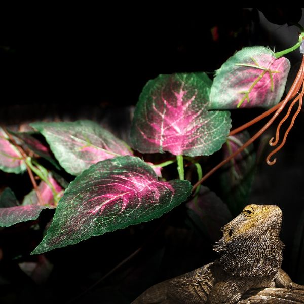 Nomoypet Artificial Hanging Leaves Amphibians and Reptiles Non-Toxic Safe and Durable