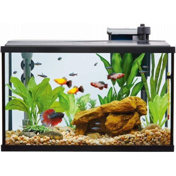 Optimum Highly Special Nutritious Food for All Aquarium Fish 20g / 100g / 200g