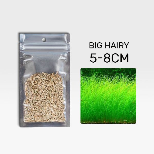 B&K Aquatic Plant Seeds 4 Types x 1000 pcs