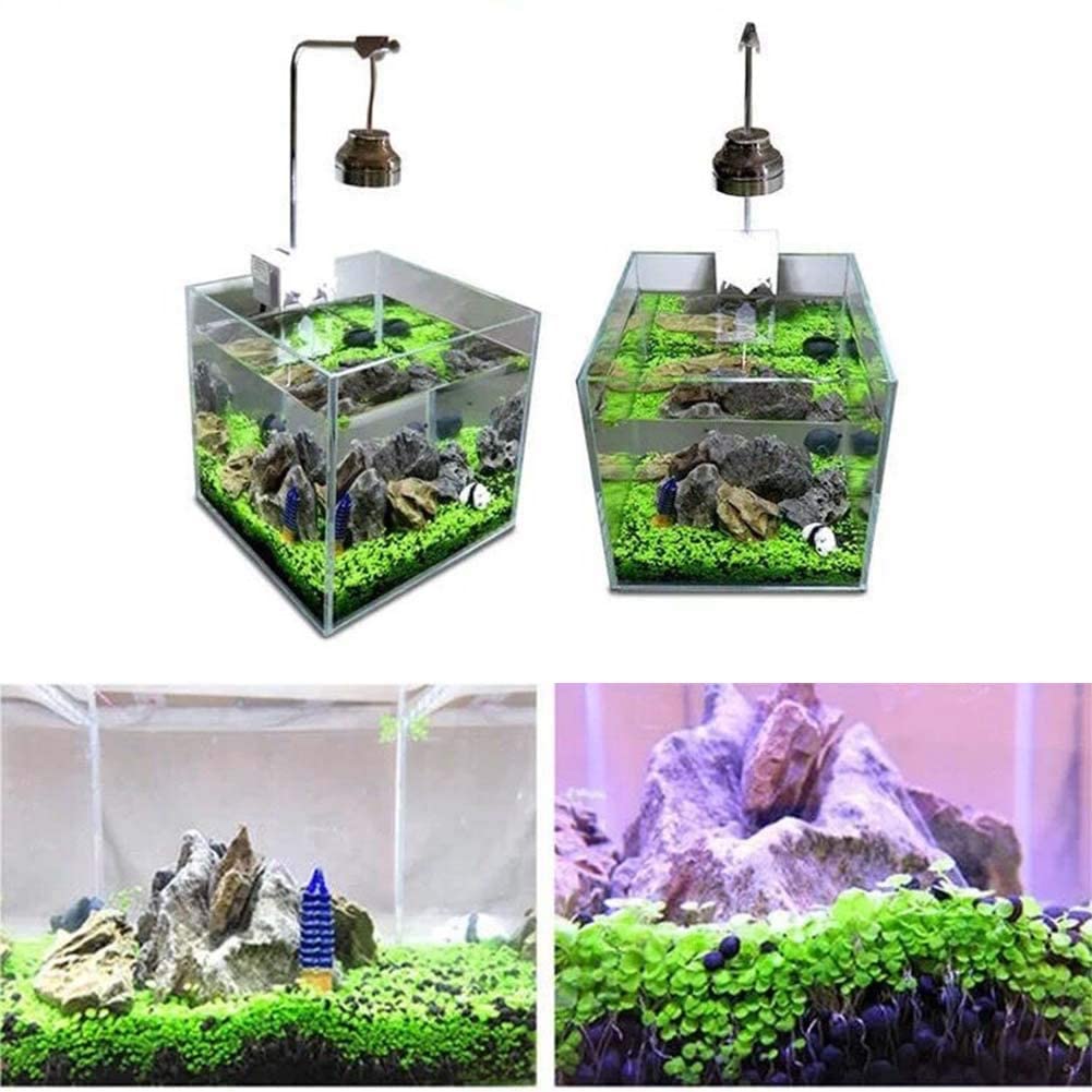 Aquarium Plant Seeds Landscape Decoration 600pcs