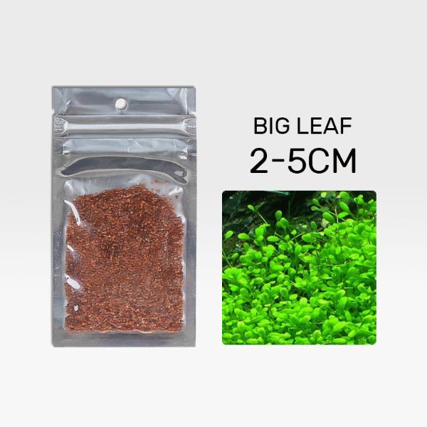 B&K Aquatic Plant Seeds 4 Types x 1000 pcs