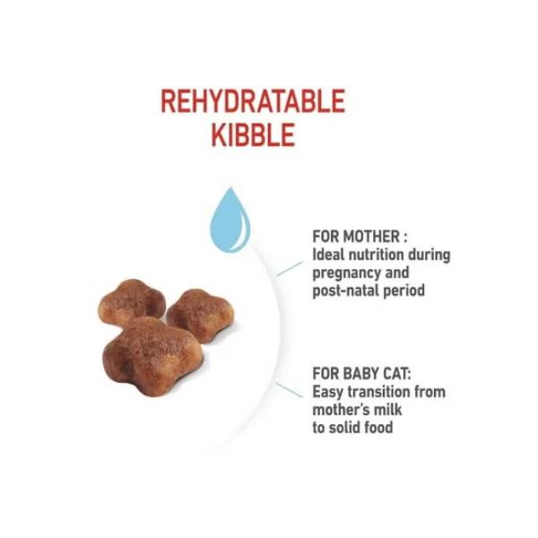 ROYAL CANIN B&K Feline Breed Nutrition Persian Adult Cat Dry Food 4kg