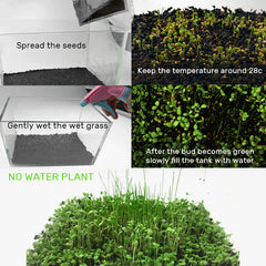 B&K Aquatic Plant Seeds 4 Types x 1000 pcs