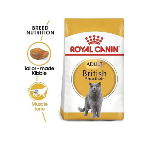 Royal Canin B&K Feline Breed Nutrition Persian Adult 4Kg Cat Dry Food
