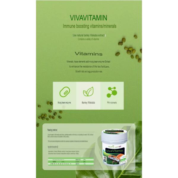 Reptizoo VivaVitamins 50g Reptile Supplement Boosting Immune
