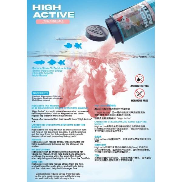 Cz High Active Fish Food 100g