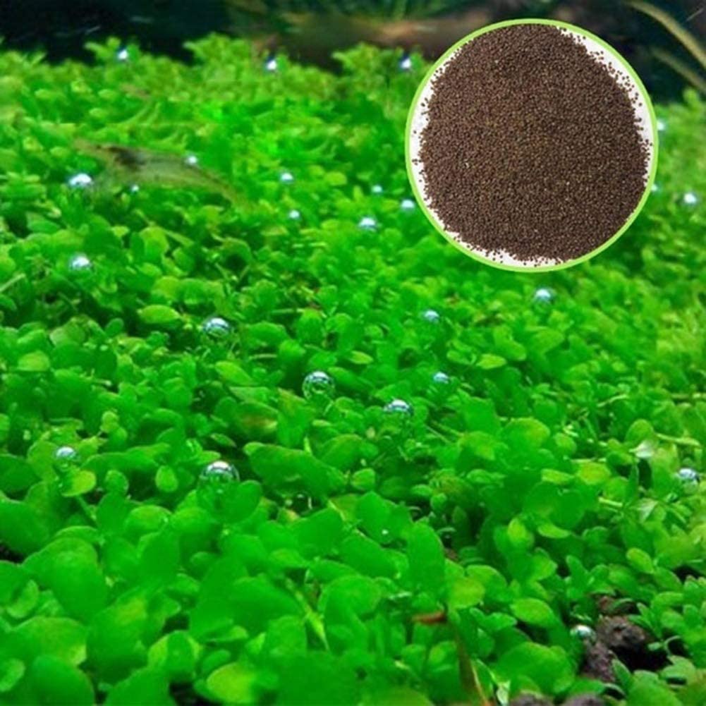 Aquarium Plant Seeds Landscape Decoration 600pcs