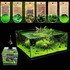 Aquarium Plant Seeds Landscape Decoration 600pcs