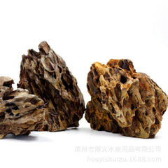 Natural Raw Dragon Rock Fish Landscape Rockery Aquarium Ornamental Plants Landscape Water Grass