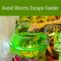 Chameleon Bowl, Reptile Feeding Feeder, Worm Live Fodder Container Water Dish Gecko Ledge Suction Cup Feeder Chameleon Supplies Accessories for Gecko Lizard Bearded Snakes Dragon