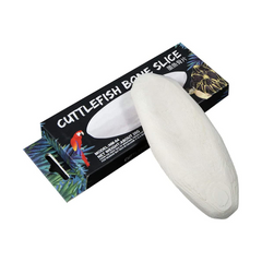 Reptile Health Release Mineral Cuttlefish Bone for Aquatic Turtle Bird Feed Cuttlebone Block Calcium Supplement