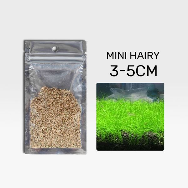B&K Aquatic Plant Seeds 4 Types x 1000 pcs