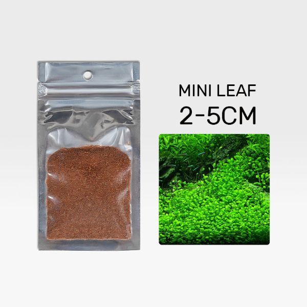 B&K Aquatic Plant Seeds 4 Types x 1000 pcs