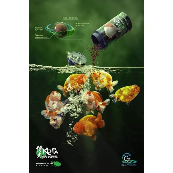 Kenta Goldfish High Growth Formula 180g Includes Omega 3